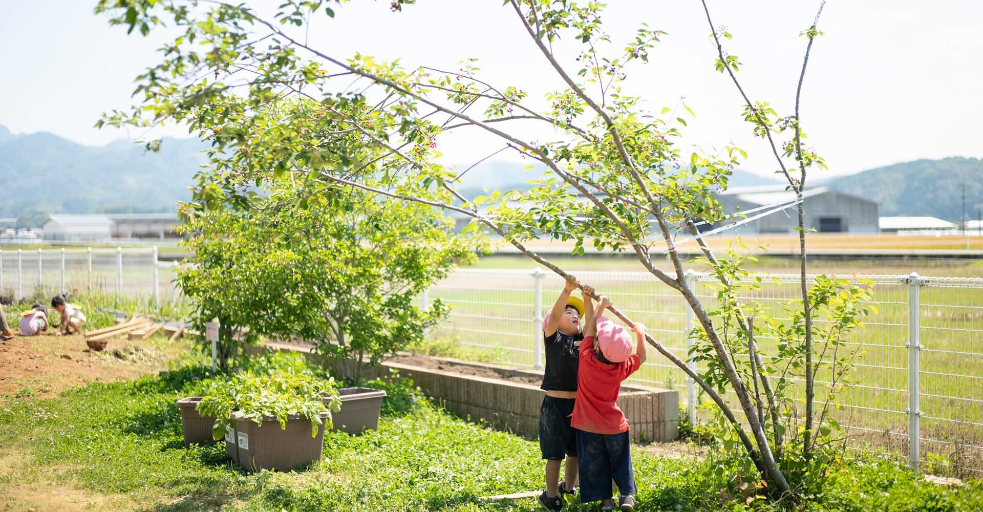稲光園子園庭での自然体験