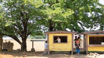 稲光園園庭での様子