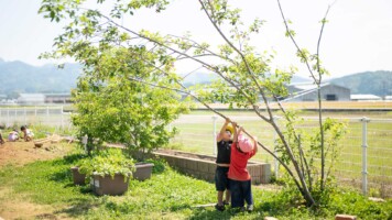 稲光園子園庭での自然体験